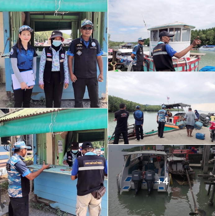 กรมทะเล ลงพื้นที่สำรวจเรือ ประจำท่าเทียบเรือบางโรง ตำบลป่าคลอก อำเภอถลาง จังหวัดภูเก็ต เพื่อวางแนวทางมาตรการเฝ้าระวัง คุ้มครอง ดูแล และป้องกันบริเวณแหล่งหญ้าทะเลและพื้นที่การแพร่กระจายของพะยูนในพื้นที่จังหวัดภูเก็ต