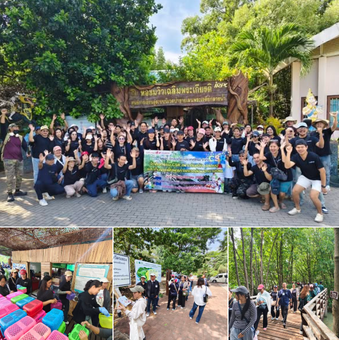 กรมทะเล พาชมป่าในเมืองจังหวัดระยอง "ป่าชายเลนพระเจดีย์กลางน้ำ อัญมณีหนึ่งเดียวในระยอง" ตำบลปากน้ำ อำเภอเมืองระยอง จังหวัดระยอง