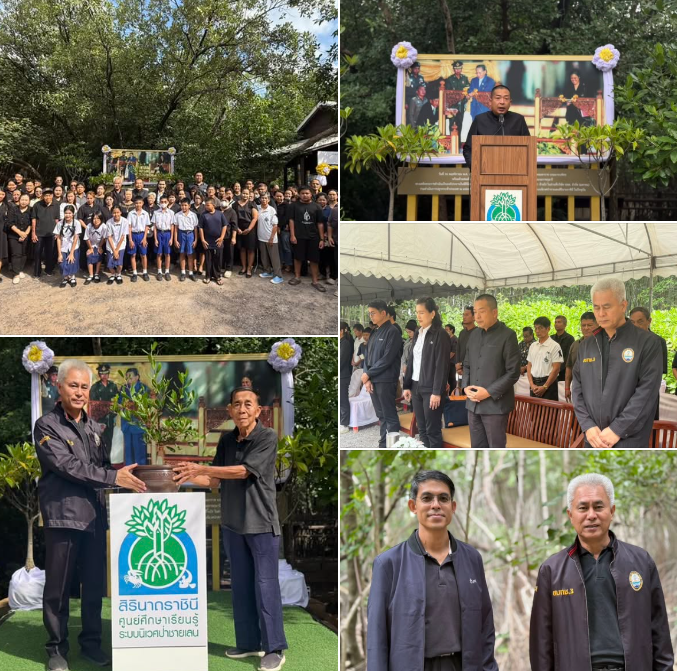 กรมทะเล ร่วมงานครบรอบ 23 ปี ต้นไม้ทรงปลูก ณ ปากน้ำปราณบุรี