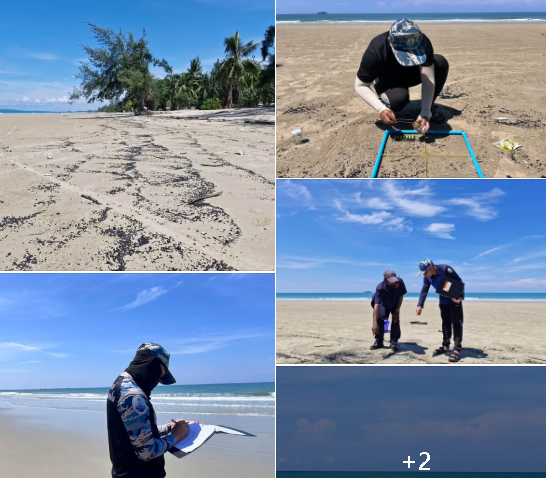 ศูนย์วิจัยอ่าวไทยฝั่งตะวันออก เร่งสำรวจตรวจสอบก้อนน้ำมันดิน หลังพบลอยเกลื่อนหาดอ่าวถ้ำ อำเภอแกลง จังหวัดระยอง