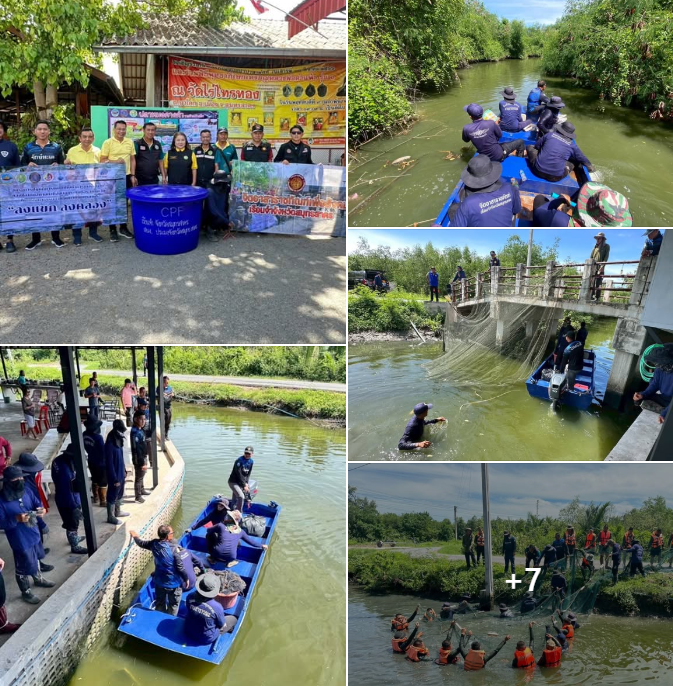 กรม ทช. เข้าร่วมโครงการกิจกรรมบูรณาการช่วยเหลือสังคม กำจัดปลาหมอคางดำ (ในรูปแบบ CSR) "ลงแขกลงคลอง" จังหวัดสมุทรสาคร