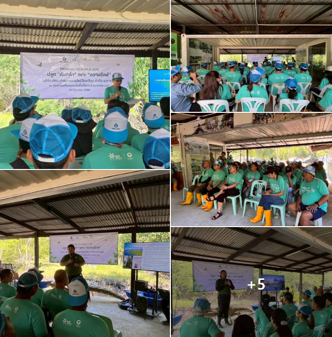 กรมทะเลชายฝั่ง ร่วมกับบริษัท ปตท.สผ. จำกัด จัดกิจกรรมปลูกต้นไม้ PTTEP From We to World Planting Day 2025