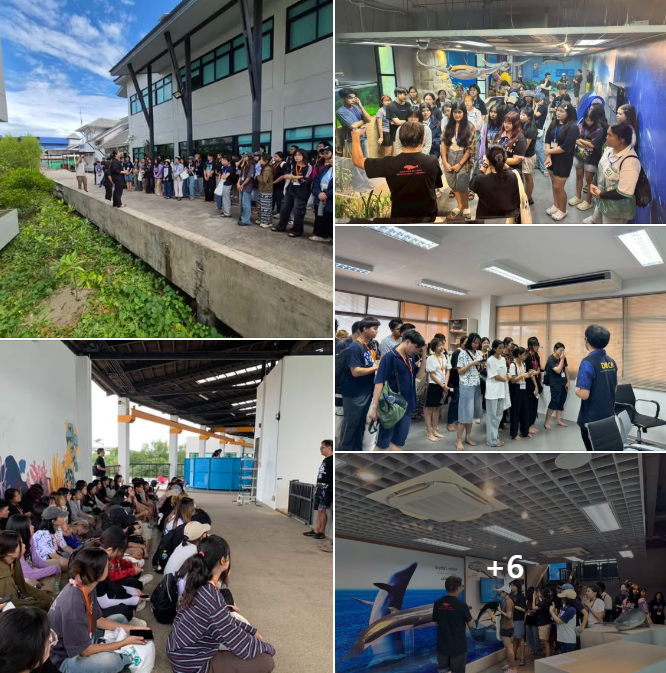 กรม ทช. ต้อนรับคณะอาจารย์ นำโดย ผศ.ดร.ธรณ์ ธำรงนาวาสวัสดิ์ และนิสิตระดับปริญญาตรี ชั้นปีที่ 2 ภาควิชาวิทยาศาสตร์ทางทะเล คณะประมง มหาวิทยาลัยเกษตรศาสตร์ กรุงเทพฯ ณ ศูนย์ช่วยชีวิตสัตว์ทะเลหายากฝั่งอ่าวไทยฝั่งตะวันออก จังหวัดระยอง และพิพิธภัณฑ์ธรรมชาติวิทยาพืชและสัตว์ทะเล จังหวัดระยอง