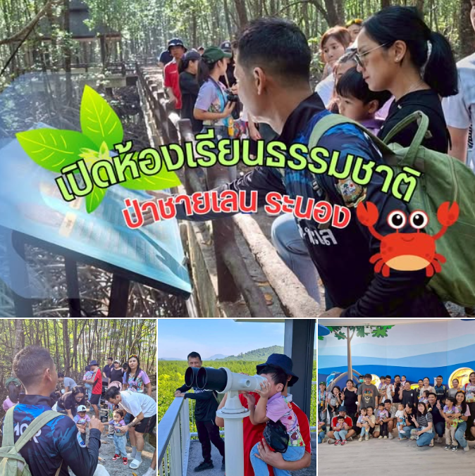 เปิดห้องเรียนธรรมชาติ ป่าชายเลนระนอง สร้างประสบการณ์เรียนรู้จากของจริง