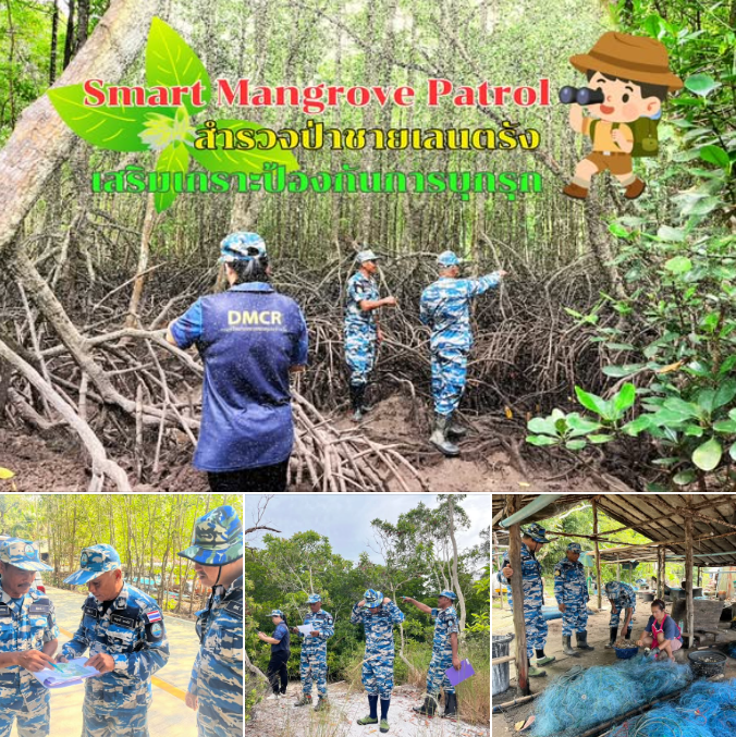 สทช.7 เดินหน้าคุ้มครองป่าชายเลนตรัง ด้วย Smart Mangrove Patrol เสริมเกราะป้องกันการบุกรุกอย่างยั่งยืน