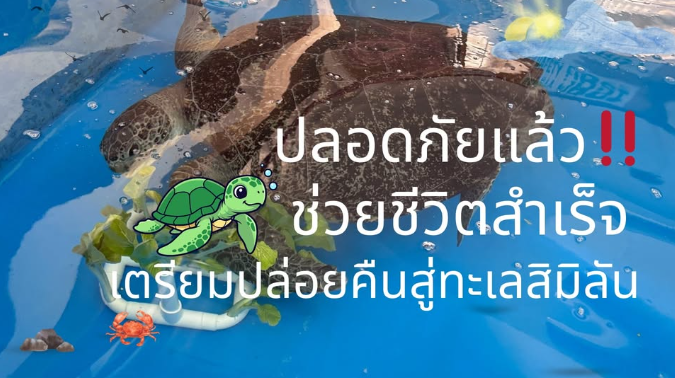 ช่วยชีวิตสำเร็จ หลังกลืนสายรัดข้อมือนักท่องเที่ยว เตรียมคืนสู่ทะเลสิมิลัน