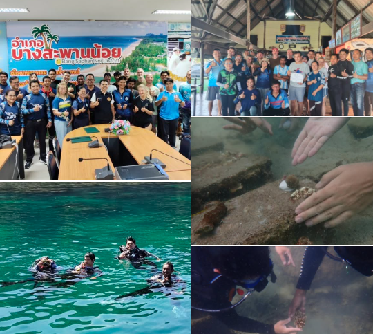 สทช.3 จัดกิจกรรมส่งเสริมและสนับสนุนการฟื้นฟูทรัพยากรปะการังโดยการมีส่วนร่วม