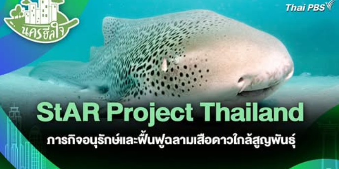 อธิบดี ทช. ร่วมสัมภาษณ์สดในรายการ “วันใหม่วาไรตี้” ในประเด็นโครงการอนุรักษ์และฟื้นฟูประชากรฉลามเสือดาวอินโด-แปซิฟิก