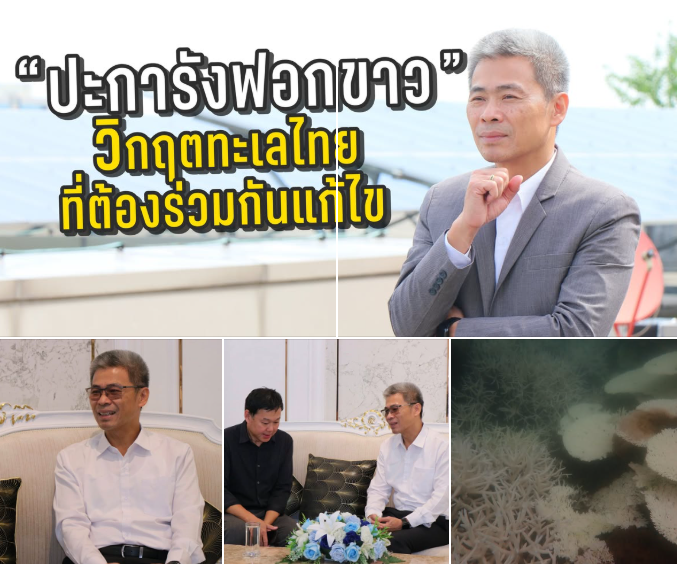 รองอธิบดี ทช. ให้สัมภาษณ์พิเศษ ประเด็นปัญหาปะการังฟอกขาว พร้อมมาตรการรับมือและการฟื้นฟูระบบนิเวศปะการัง