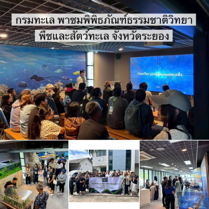 กรมทะเล เปิดบ้านรับคณะบุคลากรทางการศึกษา เยี่ยมชมพิพิธภัณฑ์ธรรมชาติวิทยาพืชและสัตว์ทะเล จังหวัดระยอง