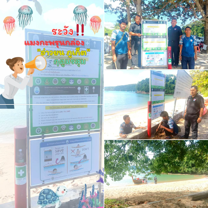 เตือนภัยแมงกะพรุนกล่อง อ่าวยน ภูเก็ต เร่งติดตั้งป้าย–จุดน้ำส้มสายชู เพิ่มความปลอดภัยนักท่องเที่ยว