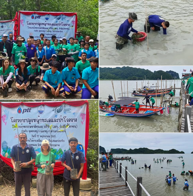 กรมทะเล ร่วมเครือข่ายฯ จัดกิจกรรมปลูกหญ้าทะเลและป่าโกงกาง ณ บริเวณสะพานไม้อ่าวเตล็ด และท่าเรือแหลมประทับ อำเภอขนอม จังหวัดนครศรีธรรมราช