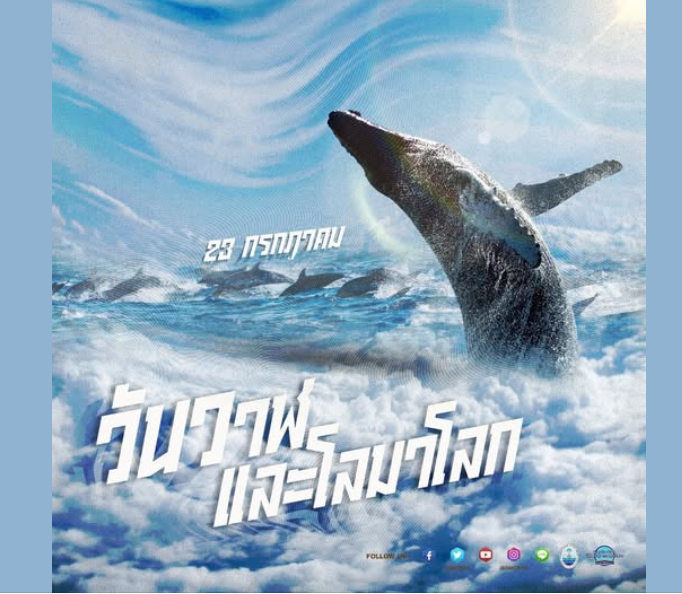 วันที่ 23 กรกฎาคม เป็น วันวาฬและโลมาโลก (World Whale and Dolphin Day)