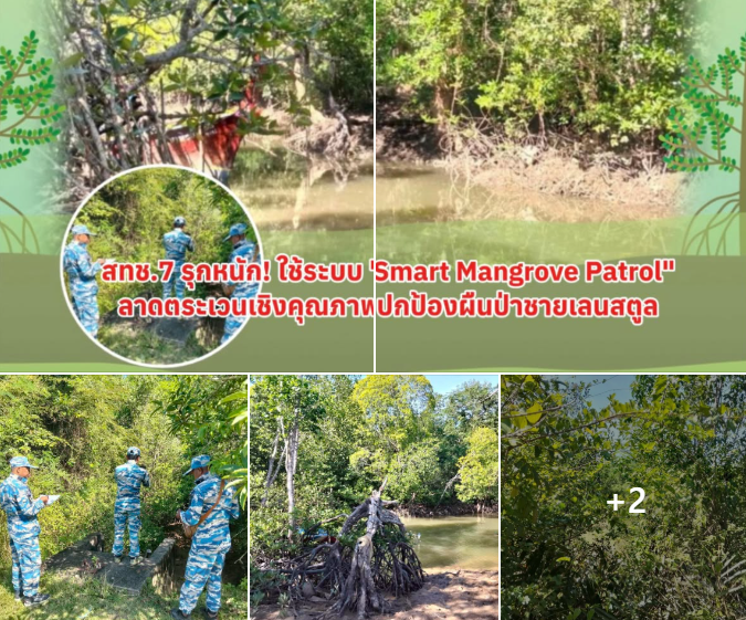 สทช.7 รุกหนัก! ใช้ระบบ "Smart Mangrove Patrol" ลาดตระเวนเชิงคุณภาพ ปกป้องผืนป่าชายเลนสตูล
