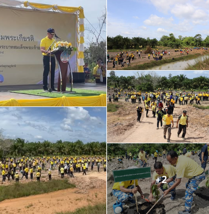 กรม ทช. เข้าร่วมกิจกรรมปลูกต้นไม้ ภายใต้ “โครงการปลูกป่าเฉลิมพระเกียรติ พระบาทสมเด็จพระเจ้าอยู่หัว เนื่องในโอกาสวันเฉลิมพระชนมพรรษา 28 กรกฎาคม 2568” จังหวัดสุราษฎร์ธานี