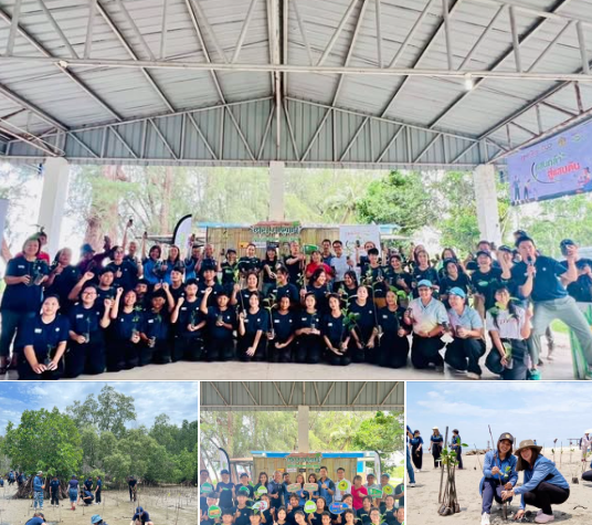 กรมทะเล ร่วมเครือข่ายฯ จัดกิจกรรมปลูกป่าชายเลนบริเวณพื้นที่หาดน้ำแดง ตำบลกร่ำ อำเภอแกลง จังหวัดระยอง