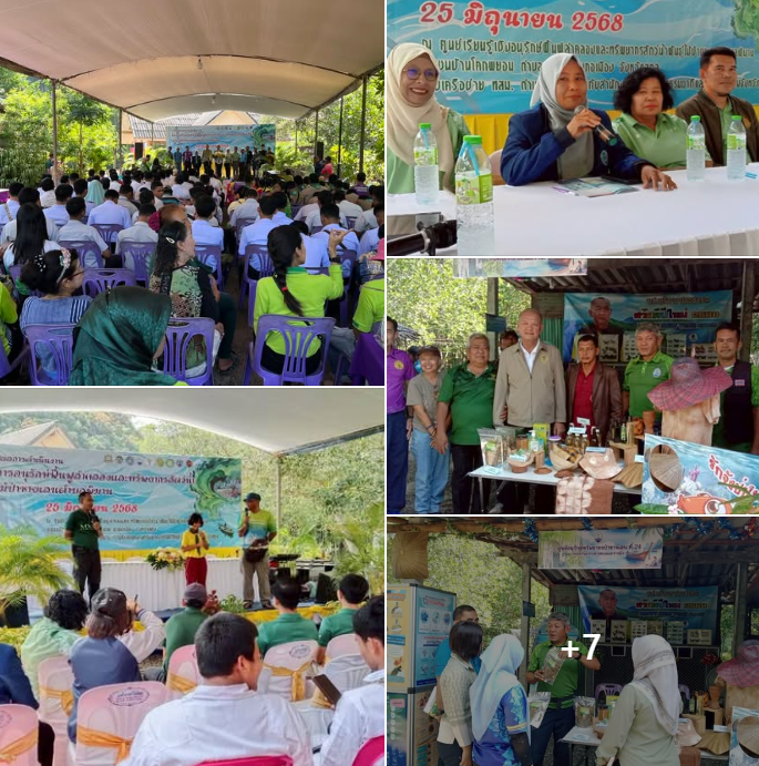 กรม ทช. ร่วมกับเครือข่าย ทสม.ตำบลพิมาน จัดกิจกรรม เวทีผลสรุปการดำเนินการโครงการอนุรักษ์ฟื้นฟูลำคลองและทรัพยากรสัตว์น้ำพันธุ์ไม้ป่าชายเลน จ.สตูล
