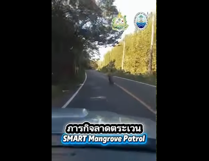 กรมทะเล เดินหน้าลาดตระเวนเชิงคุณภาพด้วยระบบ Smart Mangrove Patrol