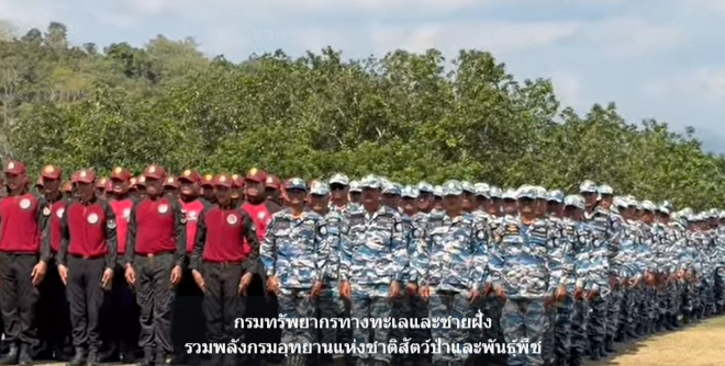 กรมทรัพยากรทางทะเลและชายฝั่ง รวมพลังกรมอุทยานแห่งชาติ สัตว์ป่า และพันธุ์พืช กรมป่าไม้ จัดกิจกรรม พิทักษ์ผืนป่า ถวายพระมารดาแห่งแผ่นดิน สืบสานพระราชปณิธานด้านการอนุรักษ์