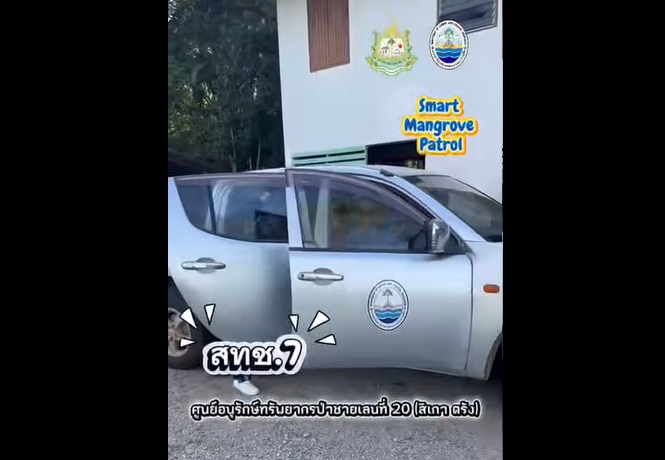 ทช. ลาดตระเวนเชิงคุณภาพ ปกป้องป่าชายเลนตรัง ด้วย Smart Mangrove Patrol