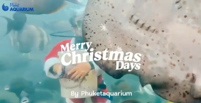 Phuket Aquarium ชวนส่งท้ายปีสุดชุ่มฉ่ำ กับกิจกรรม “MERRY SPLASHMAS” เติมสุขทั้งความสนุกและความรู้