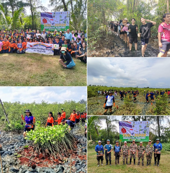 กรมทะเล จัดกิจกรรมปลูกป่าโกงกางเพิ่มพื้นที่ป่าชายเลน THAI-JAPAN MANGROVE PLANTING ณ บริเวณหาดสระบัว อำเภอท่าศาลา จังหวัดนครศรีธรรมราช