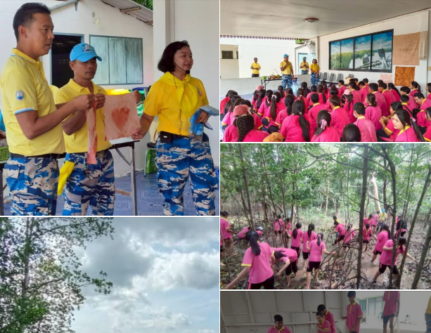 กรมทะเล นำเยาวชนทำกิจกรรมทัศนศึกษา “ระบบนิเวศป่าชายเลน” ณ พื้นที่โครงการป่าในเมือง จังหวัดกระบี่ ต.ปากน้ำ อ.เมือง จ.กระบี่
