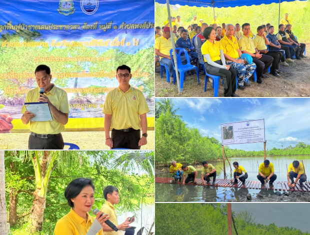 กรมทะเล ร่วมมือ จ.ประจวบฯ จัดกิจกรรมปลูกฟื้นฟูป่าชายเลนประชาอาสา เพิ่มพื้นที่สีเขียวเนื่องในวันป่าชายเลนโลก ประจำปี 2568 และเฉลิมพระเกียรติฯ ในหลวง รัชกาลที่ 10