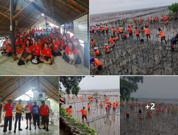 กรมทะเล ร่วมเครือจ่ายภาคเอกชน ปลูกป่าชายเลน ณ พื้นที่โครงการป่าในเมืองจังหวัดสมุทรสงคราม แห่งที่ 2 ตำบลบางแก้ว อำเภอเมืองฯ จังหวัดสมุทรสงคราม