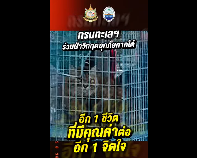 ท่ามกลางวิกฤตน้ำท่วม… ทุกชีวิตยังสำคัญเสมอ อีก 1 ชีวิต ที่มีคุณค่าต่ออีก 1 จิตใจ