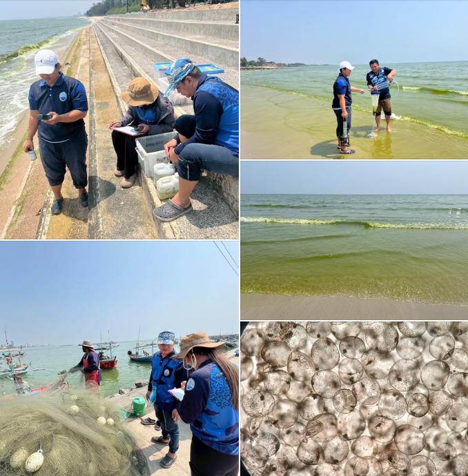 กรมทะเล ได้รับแจ้งพบน้ำทะเลเปลี่ยนสี บริเวณชายหาดอุทยานสิ่งแวดล้อมนานาชาติสิรินธร ค่ายพระรามหก อำเภอชะอำ จังหวัดเพชรบุรี เร่งลงพื้นที่ตรวจสอบ