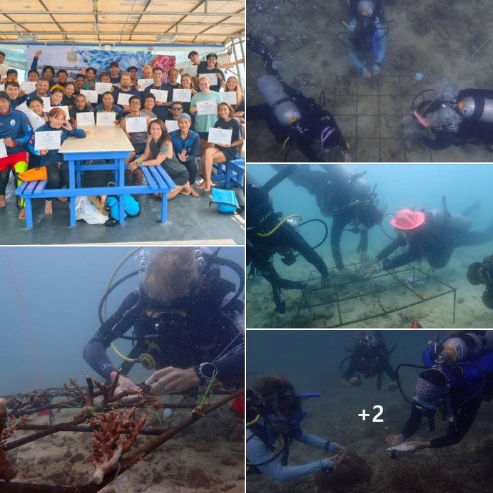 กรมทะเล จัดกิจกรรมส่งเสริมและสนับสนุนการฟื้นฟูปะการังโดยการมีส่วนร่วมในภาคปฏิบัติ บริเวณอ่าวโฉลกบ้านเก่า เกาะเต่า อำเภอเกาะพะงัน จังหวัดสุราษฎร์ธานี