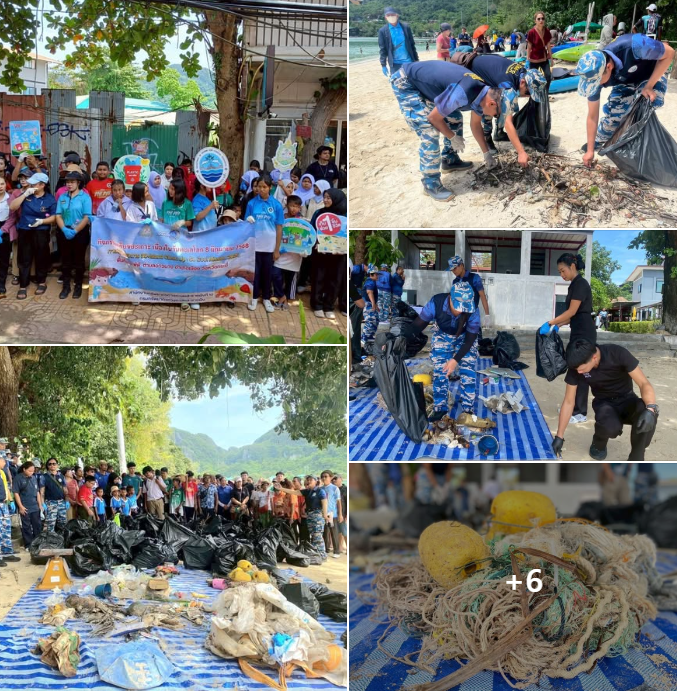 กรมทะเล จัดกิจกรรมเก็บขยะทะเลเนื่องในวันทะเลโลก ณ อ่าวโละดาลัม เกาะพีพี ต.อ่าวนาง อ.เมือง จ.กระบี่
