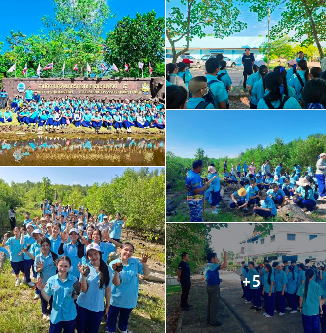 กรมทะเล นำคณะครูนักเรียนโรงเรียนเทพมิตรศึกษาเรียนรู้ระบบนิเวศป่าชายเลน และปลูกป่าชายเลน ป่าในเมืองบ้านปากกะแดะ จ.สุราษฎร์ธานี
