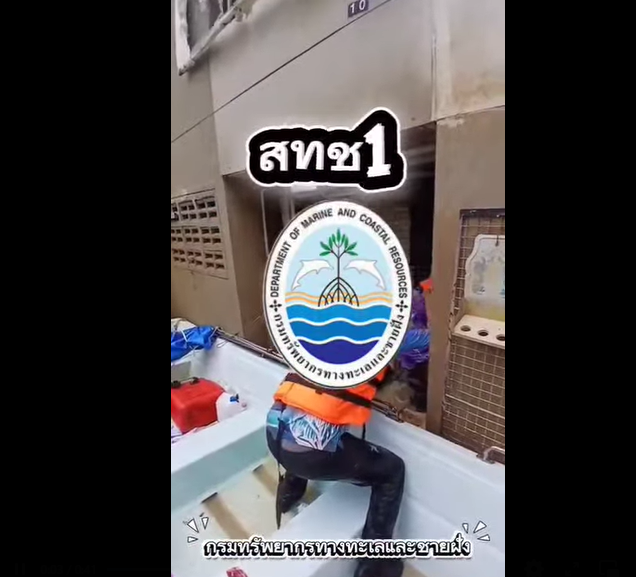 สทช.1 จัดชุดเจ้าหน้าที่เฉพาะกิจลงพื้นที่ด่วน เพื่อช่วยเหลือผู้ประสบอุทกภัยน้ำท่วม อำเภอหาดใหญ่ จังหวัดสงขลา