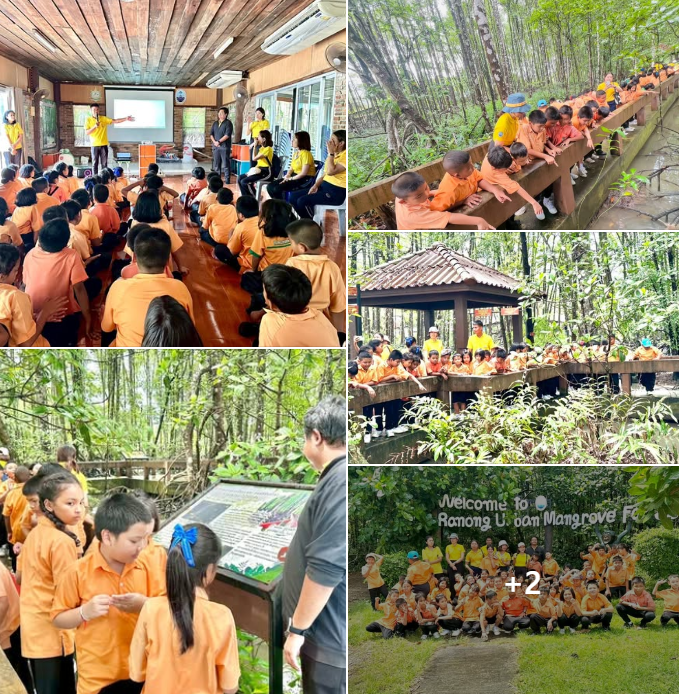 กรม ทช. ให้การต้อนรับคณะครู นักเรียน โรงเรียนเทศบาลบ้านเขานิเวศน์ ระดับชั้นประถมศึกษาปีที่ 3 เข้าเยี่ยมชมทัศนศึกษาเรียนรู้นอกห้องเรียน ดูป่าชายเลนกลางเมือง โกงกางดึกดำบรรพ์ 200 ปี ณ ศูนย์อนุรักษ์ทรัพยากรป่าชายเลนที่ 6 จังหวัดระนอง