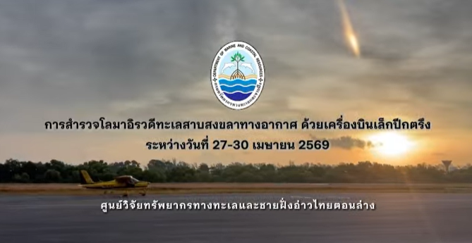 ข่าวดีทะเลสาบสงขลา! พบโลมาอิรวดี 10 ตัว สำรวจทางอากาศชี้สัญญาณระบบนิเวศยังสมบูรณ์