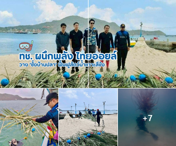 ทช. ผนึกพลัง ไทยออยล์ วาง ‘ซั้งบ้านปลา’ ฟื้นฟูสัตว์น้ำเกาะสีชัง สร้างรายได้ชุมชนยั่งยืน
