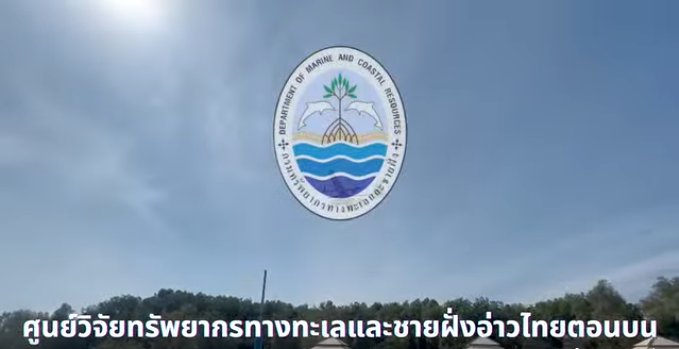 ทช. ใช้โดรนปีกตรึงสำรวจสัตว์ทะเลหายากอ่าวไทยตอนบน พบโลมาอิรวดี 20 ตัว บริเวณปากแม่น้ำท่าจีน