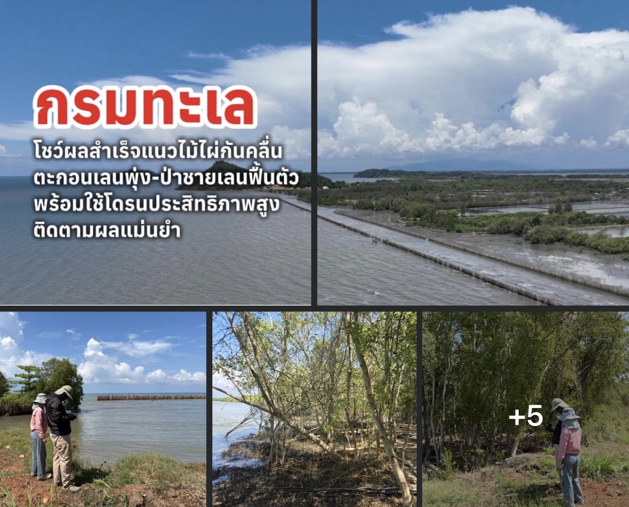 กรมทะเล โชว์ผลสำเร็จแนวไม้ไผ่กันคลื่น ตะกอนเลนพุ่ง-ป่าชายเลนฟื้นตัว พร้อมใช้โดรนประสิทธิภาพสูงติดตามผลแม่นยำ