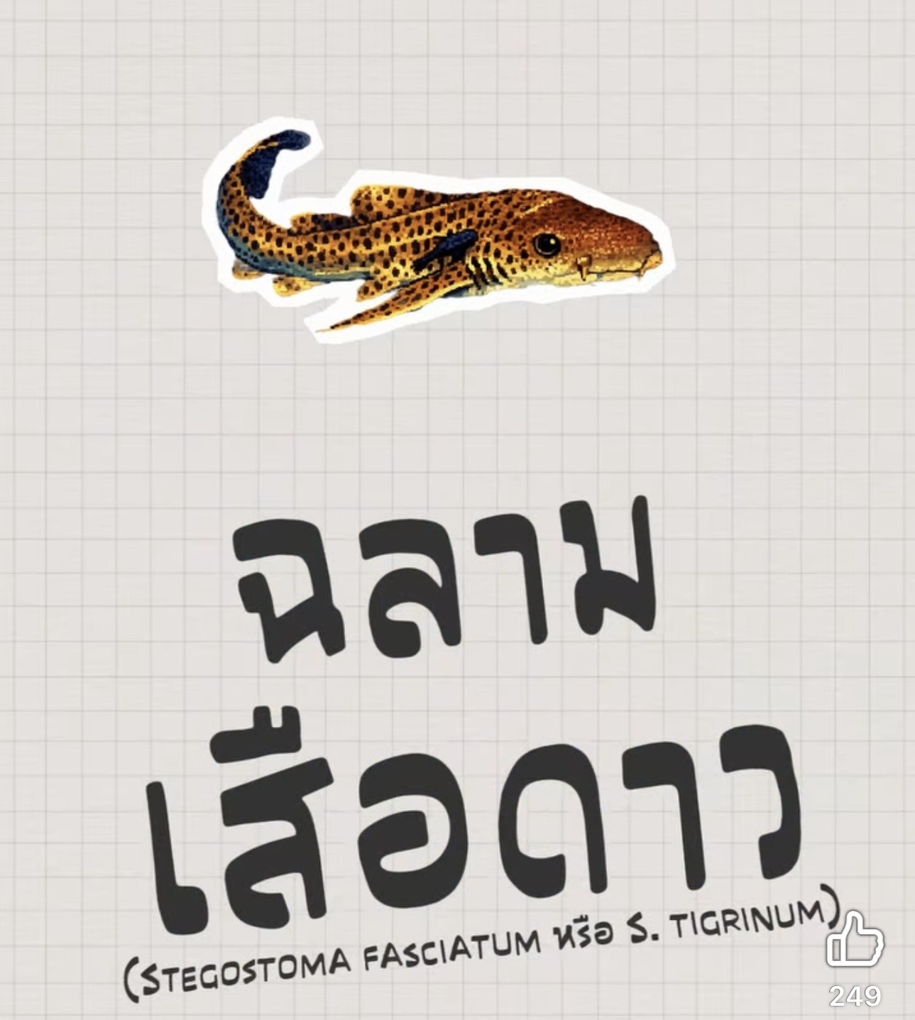 วันนี้กรมทะเลกับรายการ “นี่คืออออออออ…”
