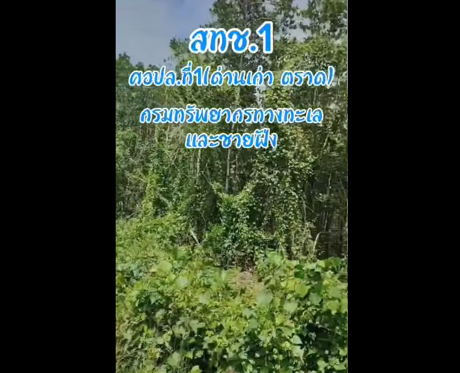 กรมทะเลลุยตรวจป่าชายเลนตราดผ่านระบบ Smart ลาดตระเวน 91 กม. ไร้สิ่งผิดกฎหมาย พร้อมชวนชุมชนลดขยะทะเล