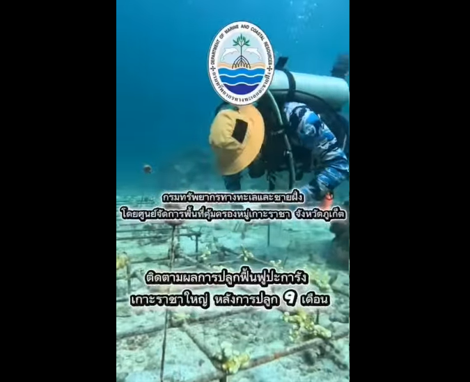 กรมทรัพยากรทางทะเลและชายฝั่ง สำรวจและติดตามผลการปลูกปะการังภายหลังการฟื้นฟู ภายใต้โครงการเพิ่มประสิทธิภาพการอนุรักษ์ ฟื้นฟู และป้องกันทรัพยากรทางทะเล เพื่อสร้างการเติบโตอย่างยั่งยืนบนสังคมเศรษฐกิจภาคทะเล