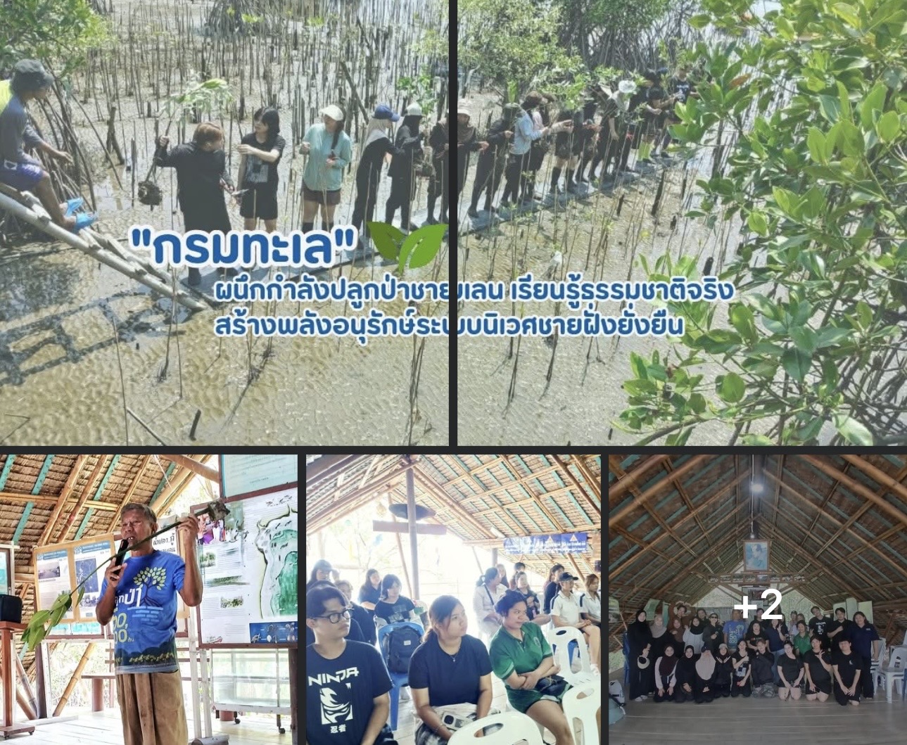 ทช. ผนึกกำลังนักศึกษาร่วมปลูกป่าชายเลน เรียนรู้ธรรมชาติจริง สร้างพลังอนุรักษ์ระบบนิเวศชายฝั่งยั่งยืน