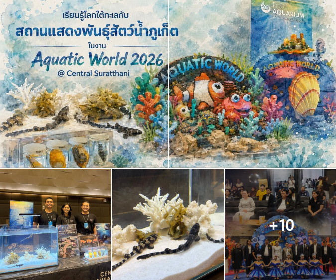 DMCR "Phuket Aquarium" เปิดโลก "ฉลามกบ" จุดประกายการอนุรักษ์ทะเลไทย ดึงกว่า 3,000 คน ร่วมเรียนรู้ในงาน Aquatic World 2026