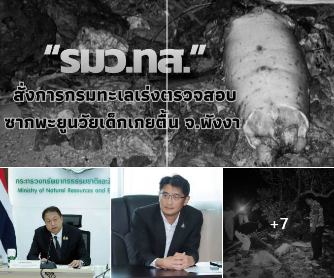 รมว.ทส. สั่งการกรมทะเลเร่งตรวจสอบซากพะยูนวัยเด็กเกยตื้น จ.พังงา พร้อมสืบสวนกรณีพบชิ้นส่วนถูกตัด และเฝ้าระวังอย่างใกล้ชิด