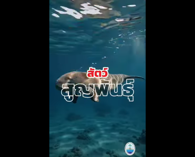 คุณคิดว่าสัตว์ชนิดใดที่จะสูญพันธุ์หายไปจากโลกใบนี้เป็นตัวต่อไป?