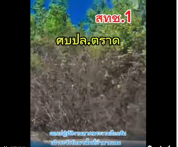 กรมทะเลชายฝั่ง โดยสำนักงานทรัพยากรทางทะเลและชายฝั่งที่ 1 ศูนย์บริหารจัดการทรัพยากรป่าชายเลนจังหวัดตราด ออกปฏิบัติงานลาดตระเวนป้องกันเฝ้าระวังรักษาพื้นที่ป่าชายเลน ผ่านระบบ SMART Mangrove Patrol