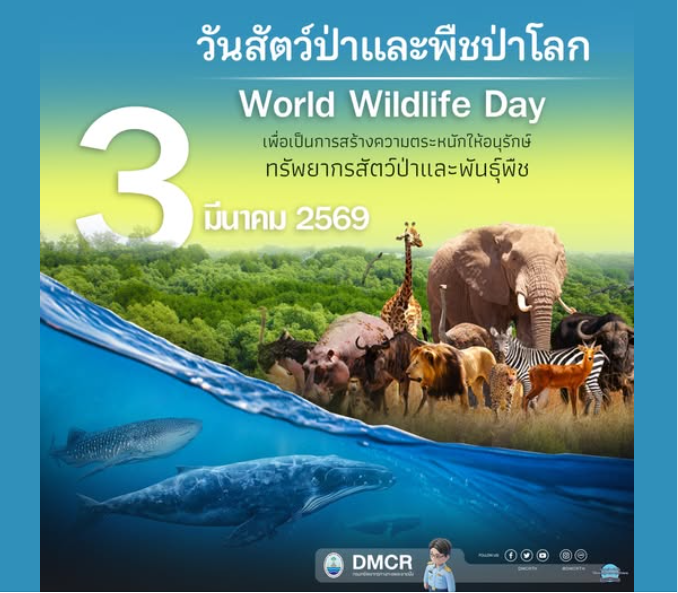 3 มีนาคม 2569 วันสัตว์ป่าและพืชป่าโลก (World Wildlife Day)