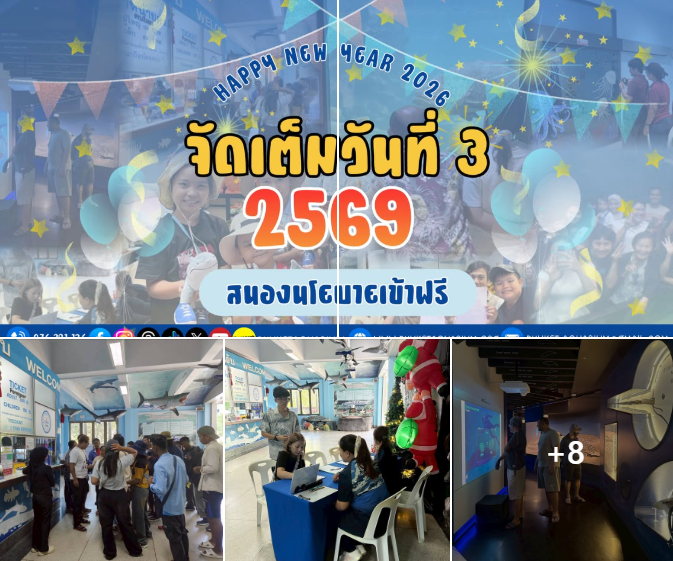 Phuket Aquarium มอบความสุขรับปีใหม่ 2569 เปิดเข้าชมฟรีคนไทย เรียนรู้โลกใต้ทะเล สร้างจิตสำนึกการอนุรักษ์